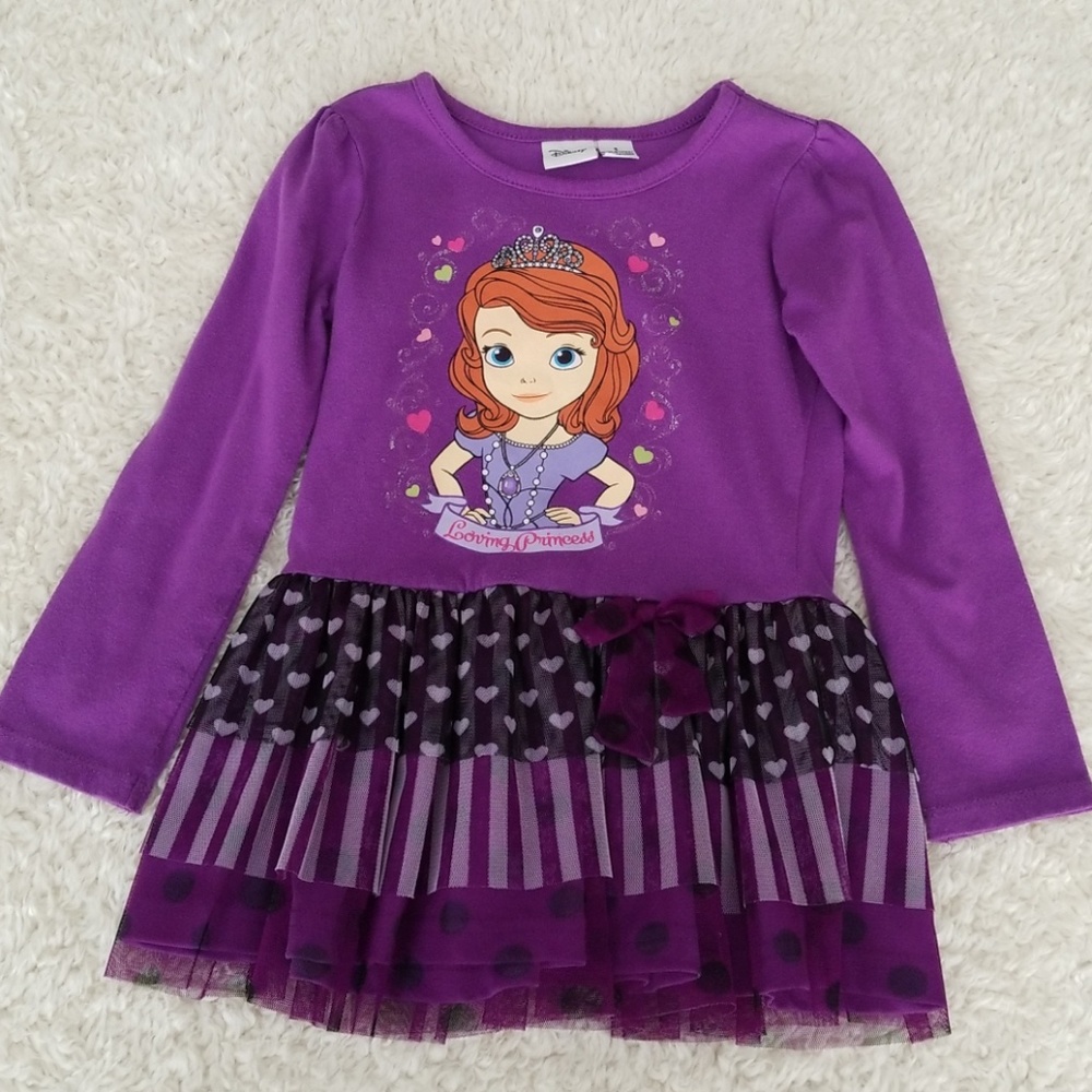 Disney Princess Sofia Pullover